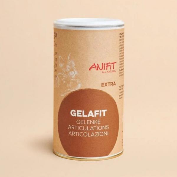 Ergänzungsnahrung für gesunde Gelenke bei Hunden und Katzen